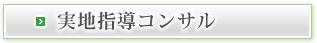 実地指導コンサル